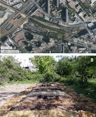 Recycling wastes to mitigate trace elements contamination in plants: a new horizon for urban agriculture in polluted soils